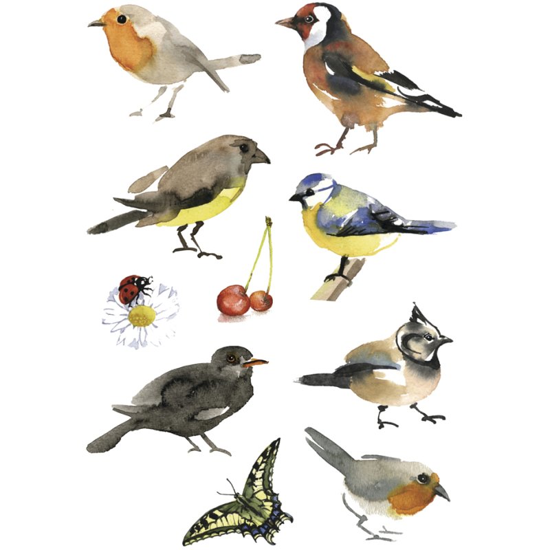 HERMA stickers de décoration Oiseaux, papier, permanent, 3 feuilles x 10 pièces