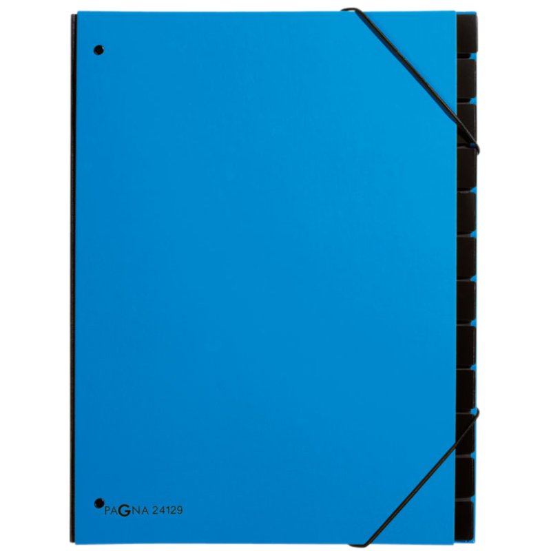 PAGNA Classeur de Bureau Trend A4, 12 compartiments, violet