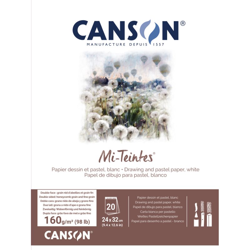 CANSON papier à dessin Mi-Teintes bloc, 240 × 320 mm, blanc assorti, 20 feuilles