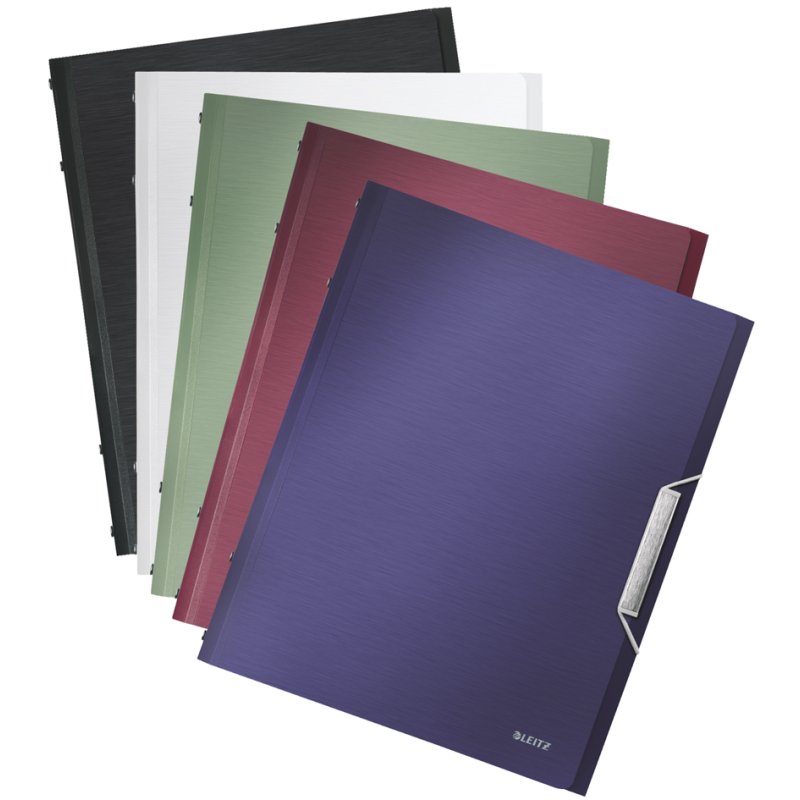 LEITZ Divider file Style A4, 12-compartment, black