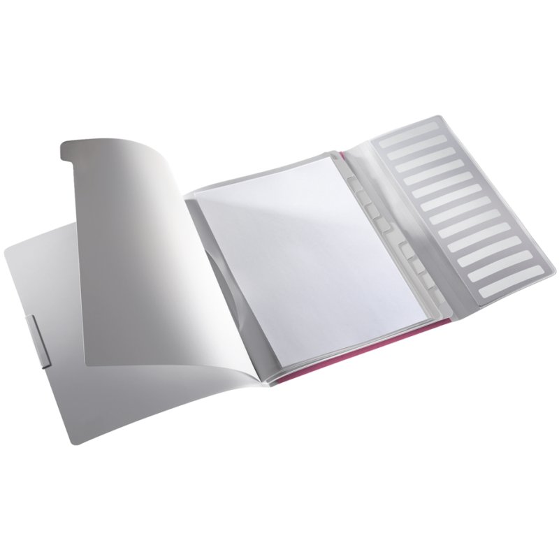 LEITZ Divider file Style A4, 12-compartment, black