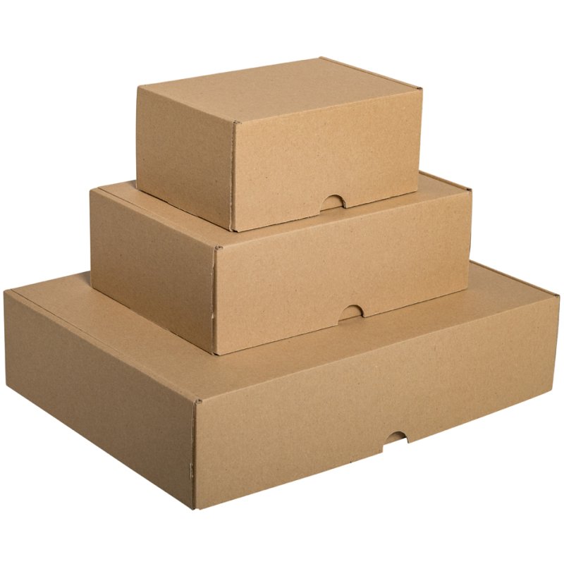 SMARTBOXPRO Boîte carton Maxibrief, 241×160×80 mm, refermable, 25 pièces