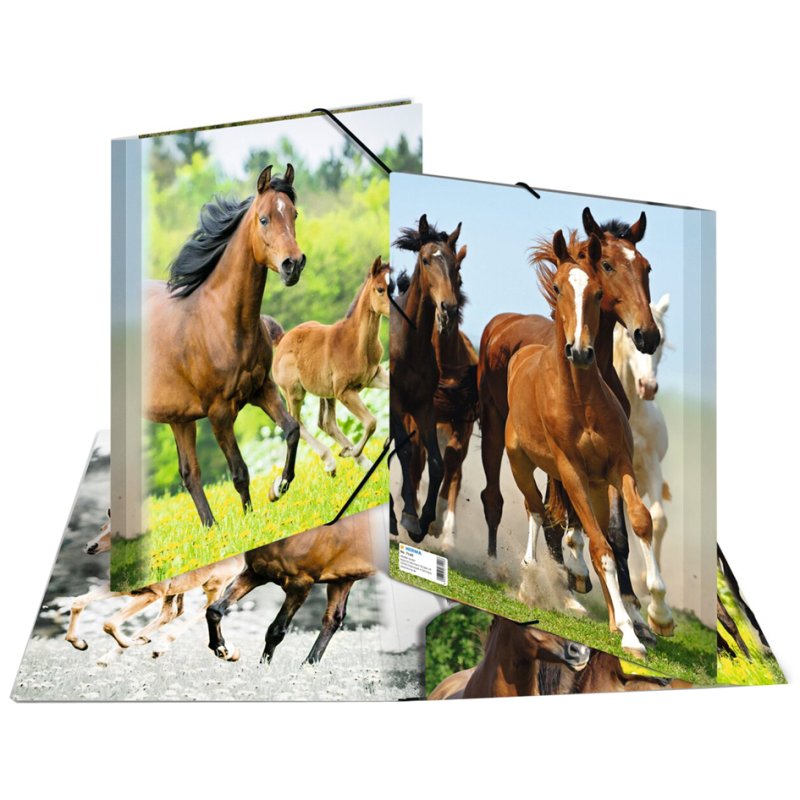 HERMA chemise à coins Chevaux, A3, PP, 3 volets