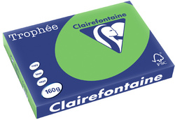 Clairefontaine multifunctioneel papier Trophée, A3, abrikoos, 160 g/m², 250 vel