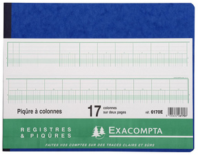 EXACOMPTA kolommenboek, 13 kolommen, 31 regels, 80 pagina's