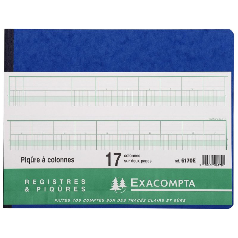 EXACOMPTA grand livre colonné, 11 colonnes, 24 lignes, 80 pages