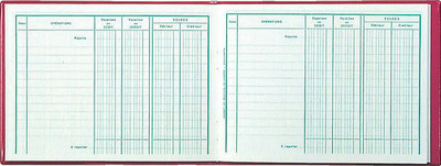 EXACOMPTA ruitjespapier Rekeningoverzicht, 210 × 190 mm, 80 pagina's