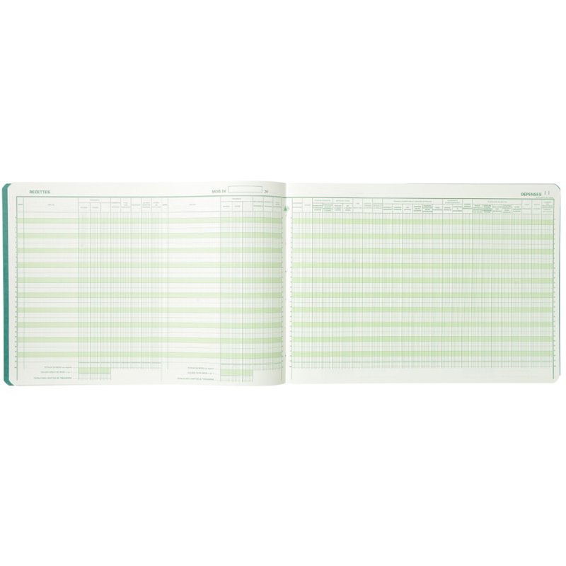 EXACOMPTA bloc détachable Revenus/Dépenses professions libérales, 270 × 380 mm, 80 pages