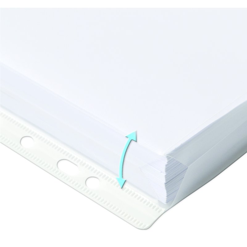 Chemises Oxford avec pli, A4, PP 0,2 mm, 10 pièces