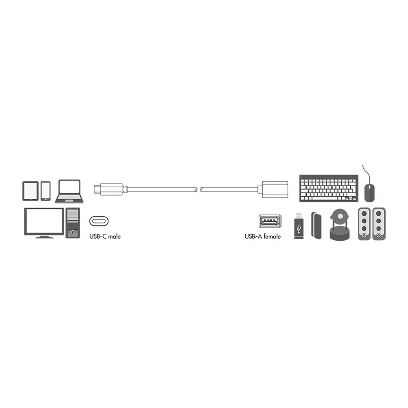LogiLink Câble adaptateur USB 3.1 USB-C vers USB-A, noir, 150 mm, 3 A