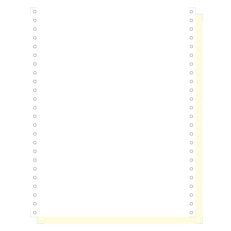 EXACOMPTA kettingformulieren 240 mm × 12 inch, 2-voudig, doorschrijfpapier, 1000 vel