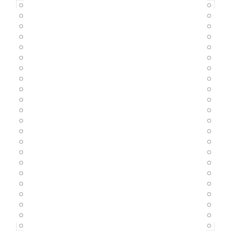 EXACOMPTA kettingformulieren 240 mm × 12 inch, 2-voudig, doorschrijfpapier, 1000 vel