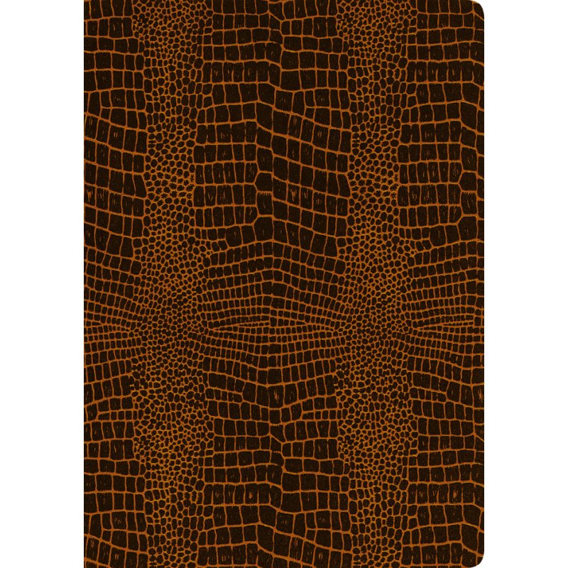 RNK Verlag chemise de classement Grace Coffee, 225 × 310 mm, design 3D, carton spécial