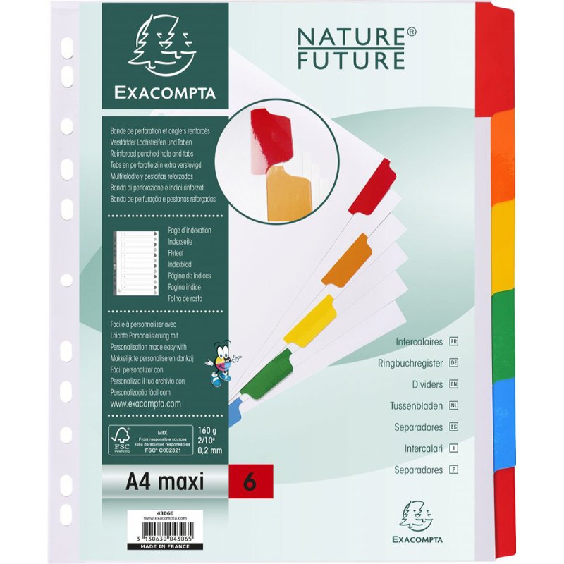 EXACOMPTA onglets cartonnés A4 extra-larges, 6 divisions, carton 160 g/m², 20 pièces