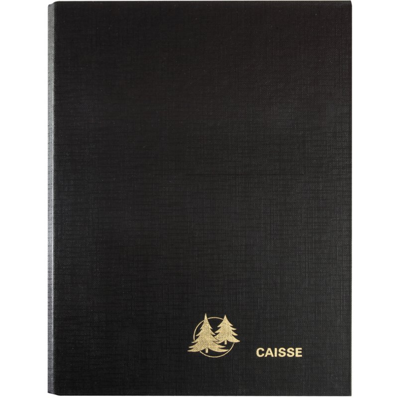 EXACOMPTA feuilles mobiles rechargeables tiroir-caisse permanent, blanc, 1 jour par page, 240×160 mm