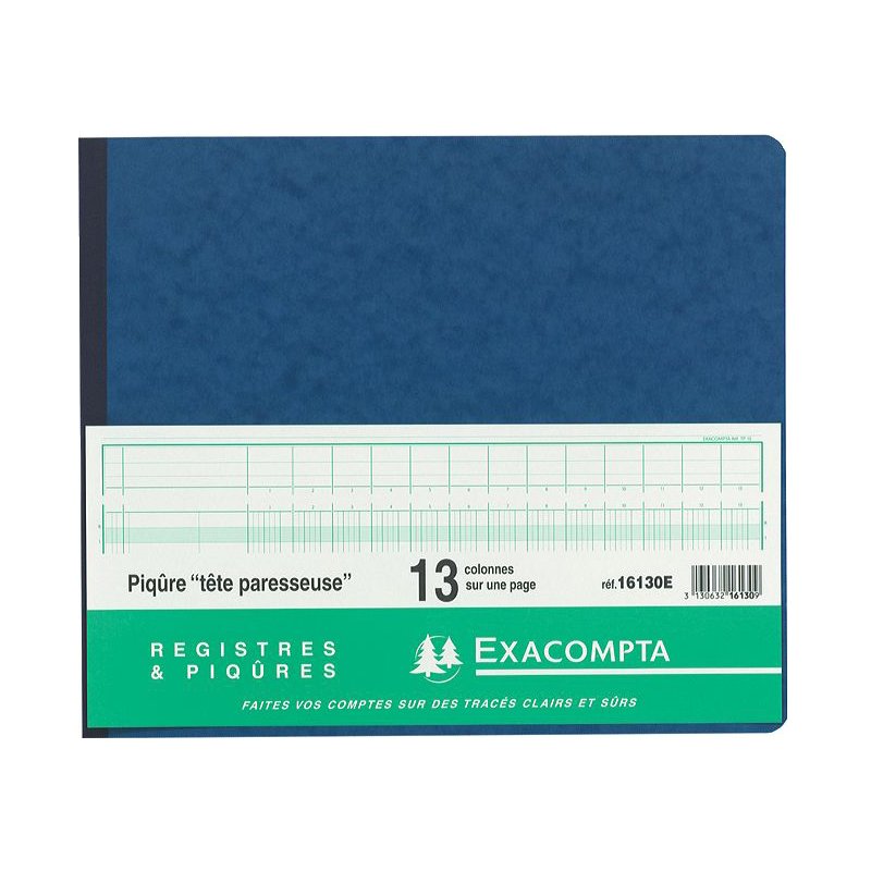 EXACOMPTA kasboek met puntjesraster, 297 × 380 mm, 80 pagina's