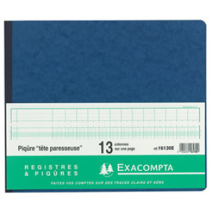 EXACOMPTA kolommenboek met rekenen, 297×380 mm, 80 pagina's, 15 kolommen
