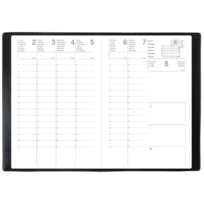 QUO VADIS QV 312006Q agenda
