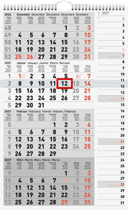 rido idé Wandkalender Kombi P, 300 x 490 mm, 4 maanden per pagina