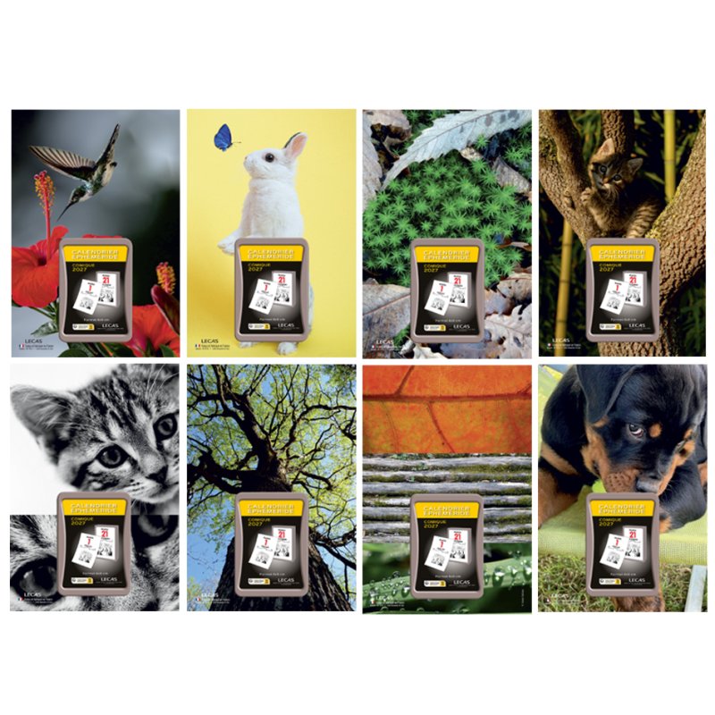 LECAS wandkalender NATURE voor scheurkalender, kartonnen plaat, 170 x 250 mm, 10 stuks