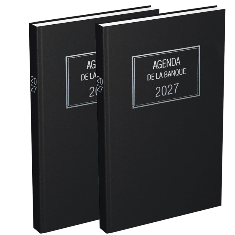 LECAS Agenda Bancaire Long 2026, 150 x 340 mm, 2 parties