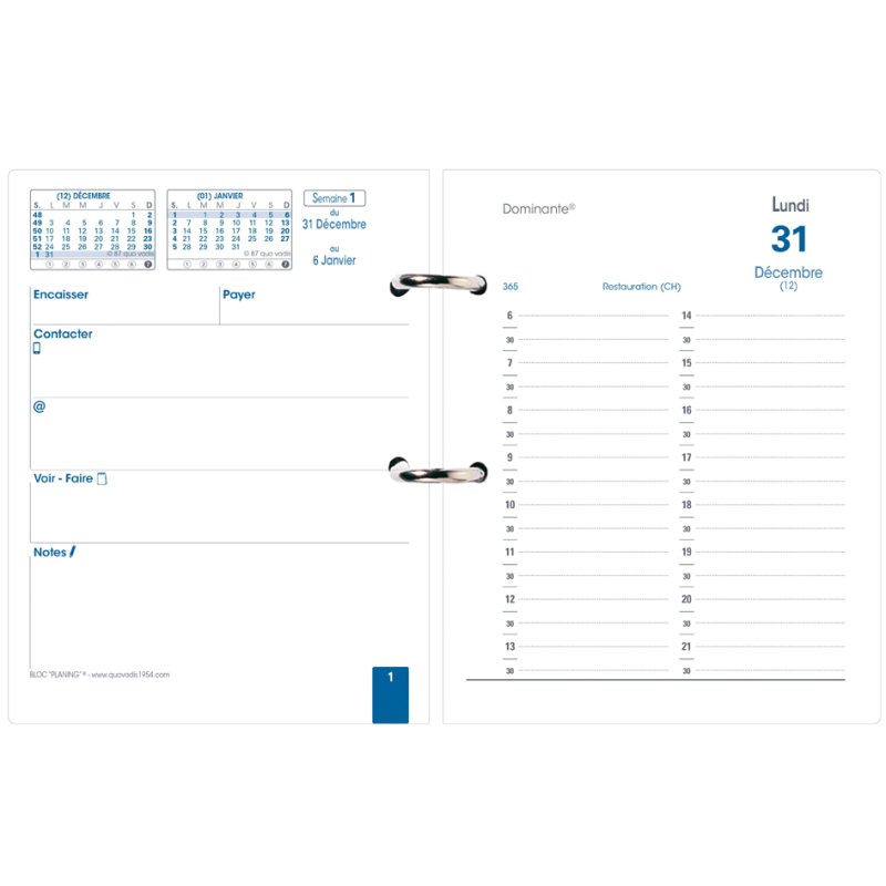 QUO VADIS Recha.Bloc recharge, 1 jour par page, 115 x 145 mm