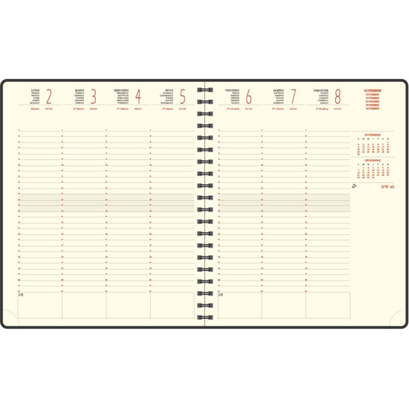 EXACOMPTA Eurotime 22S Desk Diary 2026, spiral binding