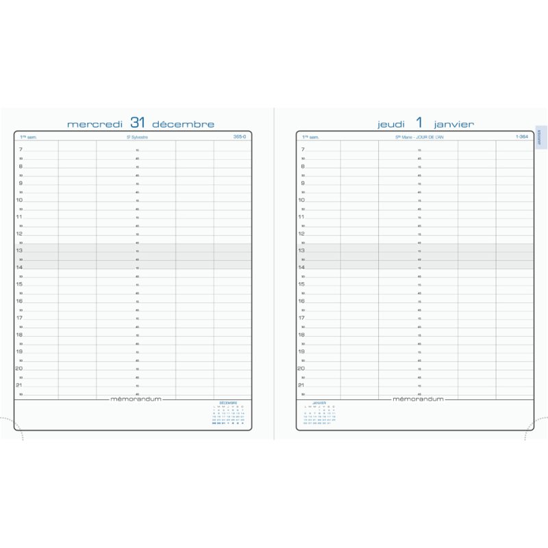 EXACOMPTA agenda semainier 180 x 225 mm, 1 day per page