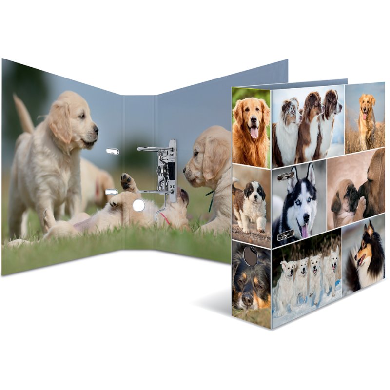 HERMA classeur motif chevaux, A4, 70 mm