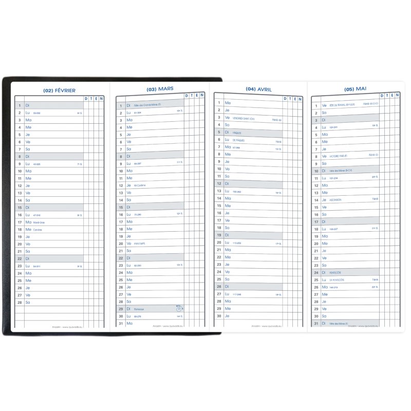 QUO VADIS anoslim diary, 75 x 200 mm, black, 12 months