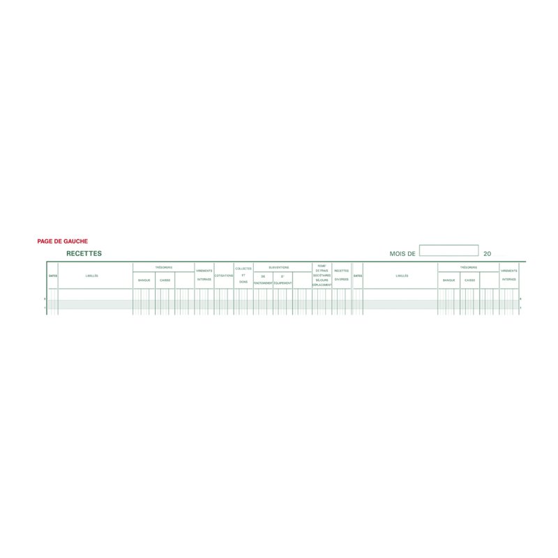 EXACOMPTA livre de caisse associations recettes/dépenses, 270×380 mm, 80 pages