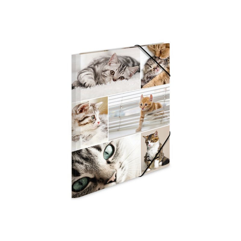 HERMA chemise à coins, 315 × 440 mm, motif animal