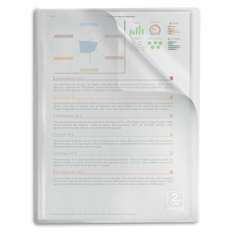 Oxford 2nd Life A4 presentation folder, transparent PP