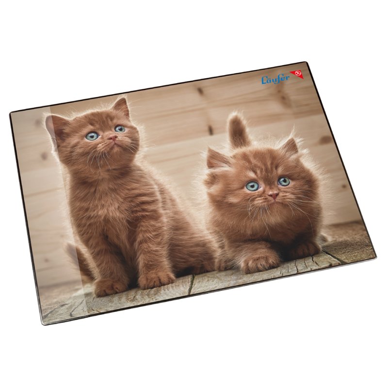 Läufer Onderlegger Nieuwsgierige Kittens, 400×530 mm