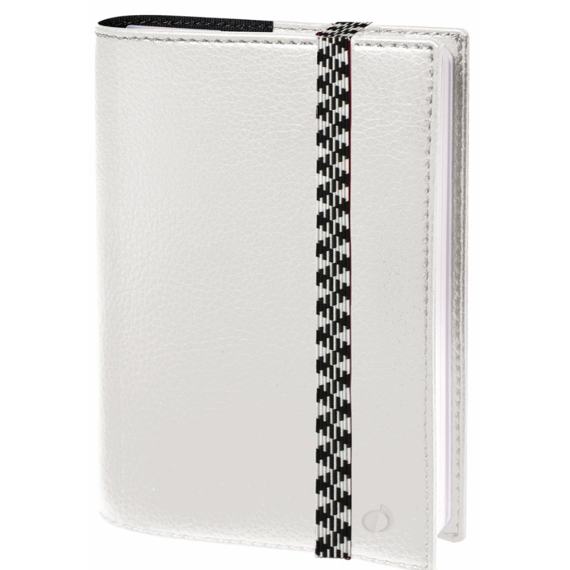 QUO VADIS Agenda Time & Life Pocket 2026, bleu irisé