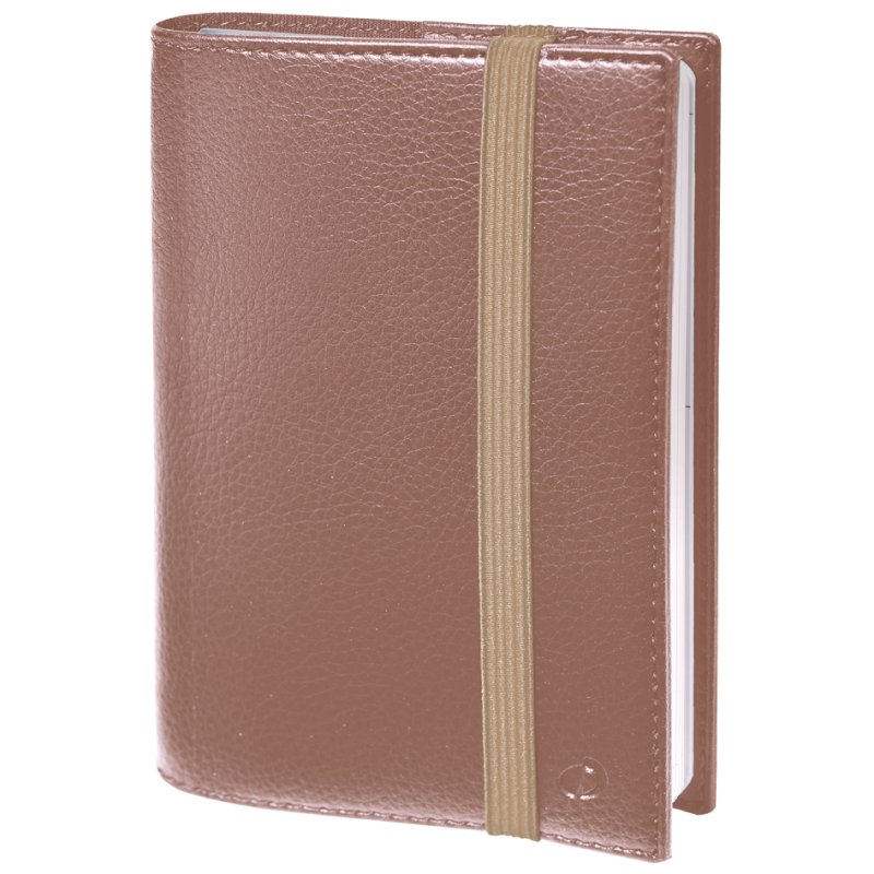 QUO VADIS Agenda Time & Life Pocket 2026, bleu irisé