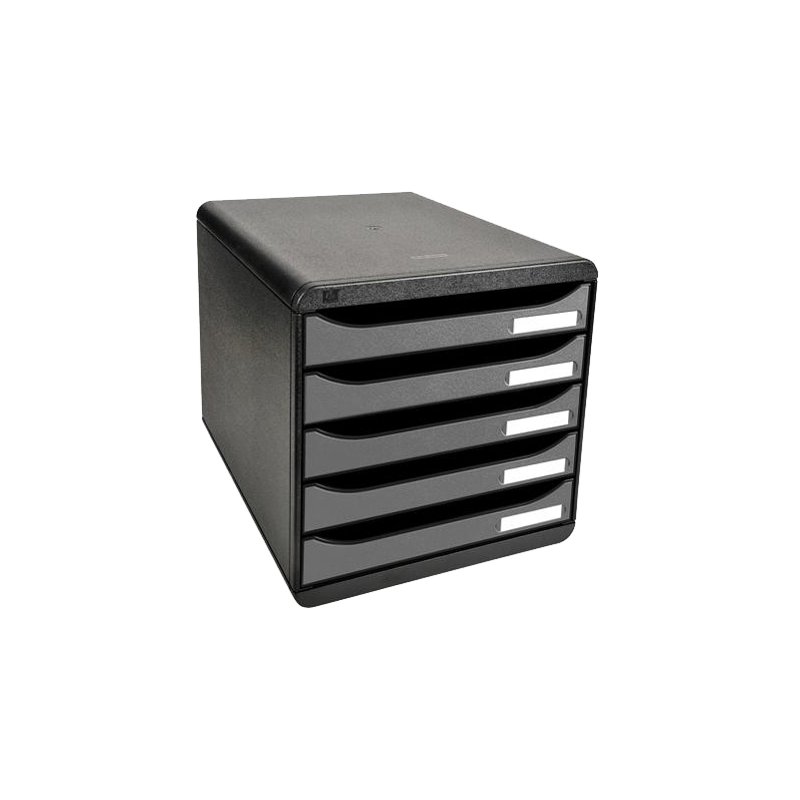 EXACOMPTA ladebox Big-Box Plus, 5 laden, zilver, A4+