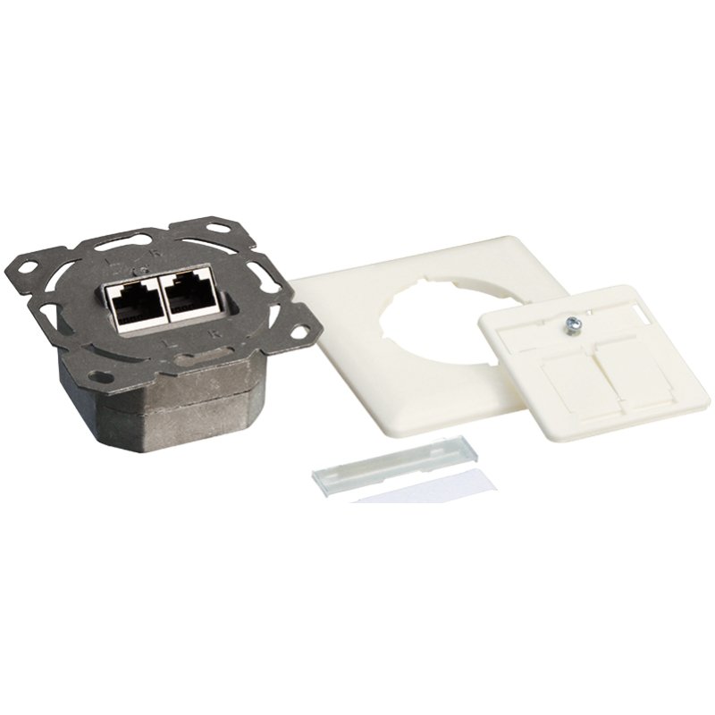 LogiLink Boîtier mural professionnel Cat. 6A, blanc pur, 2x RJ45, blindé