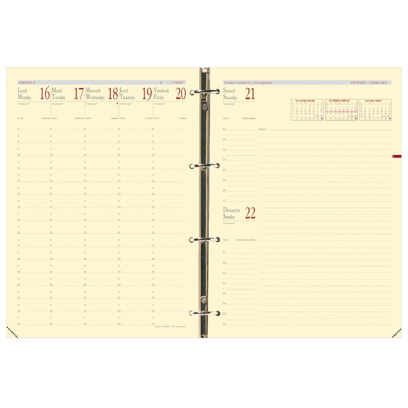 QUO VADIS Timer29 refill, 1 week/2 pages, 210×297 mm, ivory-tinted paper