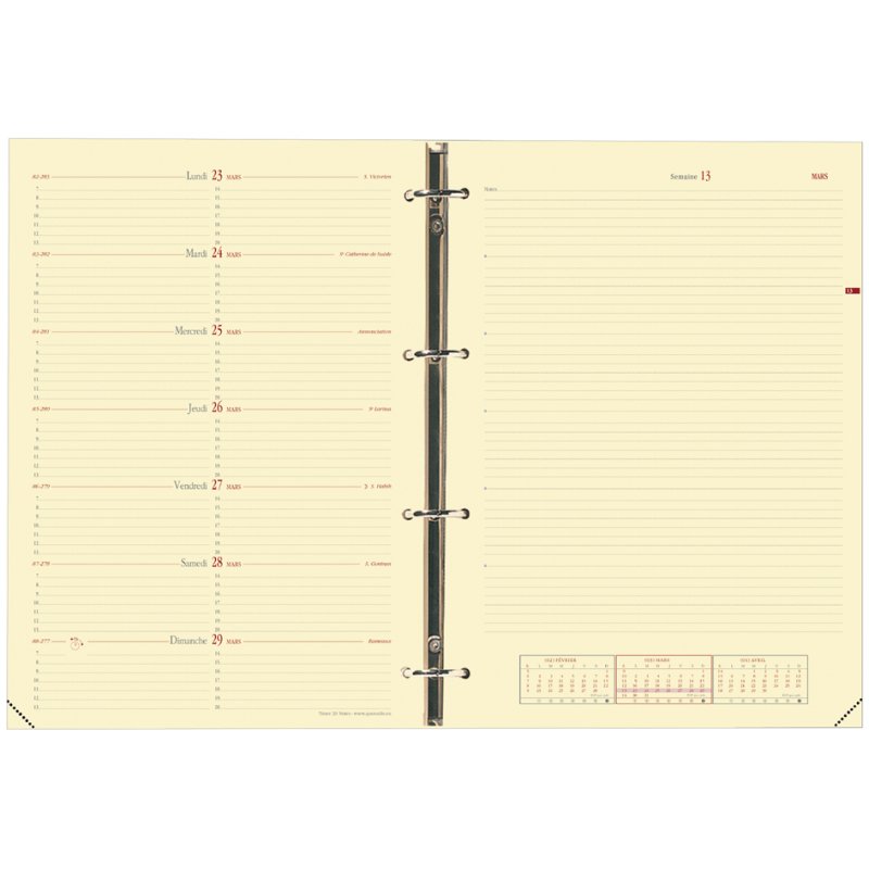 QUO VADIS recharge Timer 29 Notes, 210×297 mm, 16 mois, papier ivoire