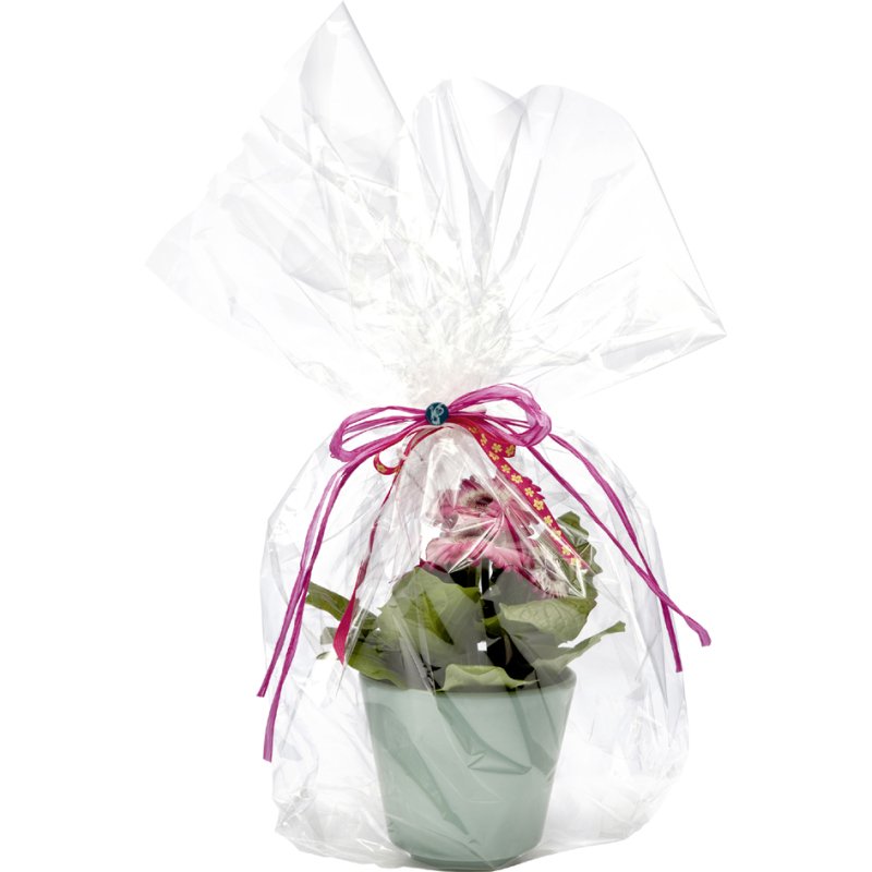 folia cadeaupapier transparant, 700 mm × 10 m