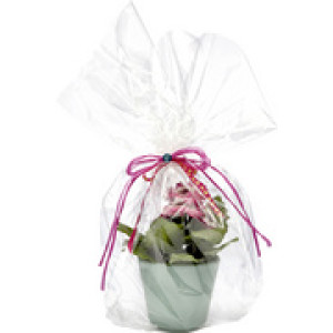 folia cadeaupapier transparant, 700 mm × 10 m