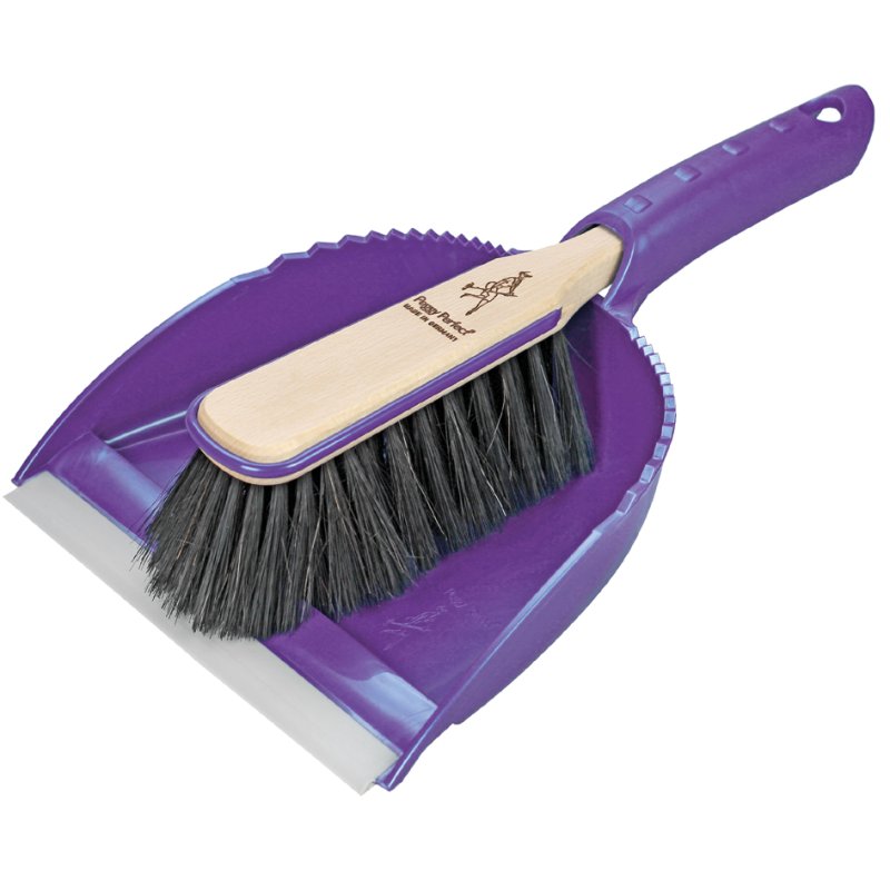 Peggy Perfect balai avec lèvre Harmony, boîte plastique, bois avec crin synthétique, 220 mm