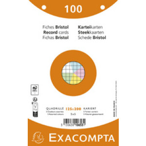 EXACOMPTA systeemkaarten, 170×220 mm, geruit wit, 50 stuks