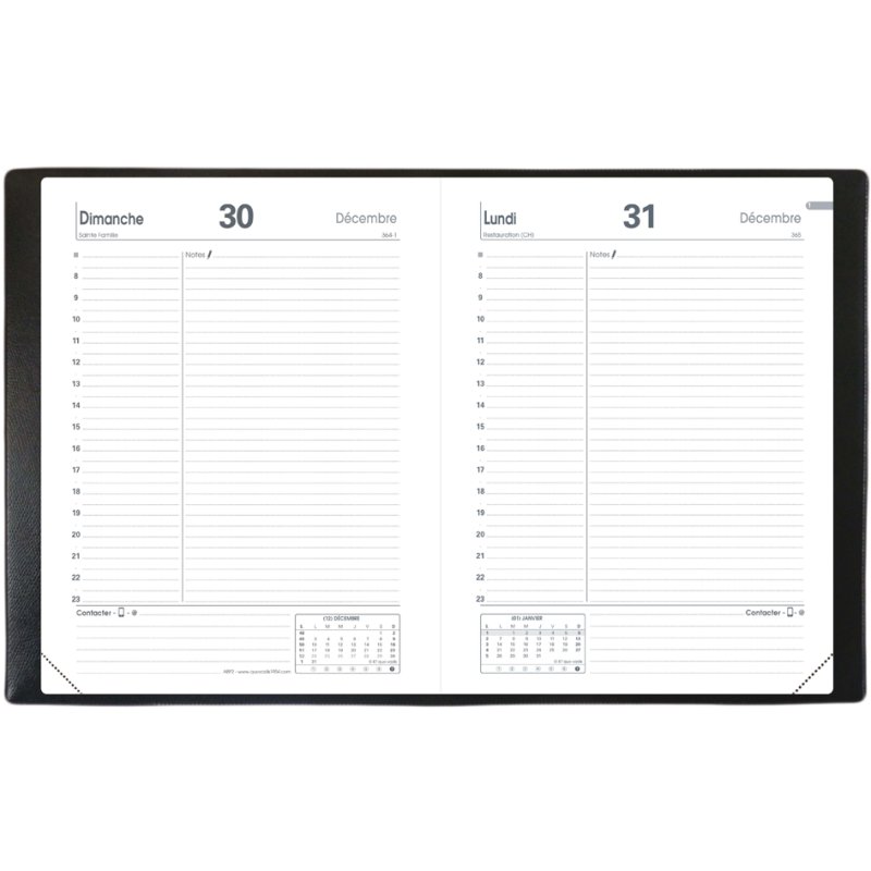 QUO VADIS ABP 2 diary, 120 x 170 mm, 2027, black Impala
