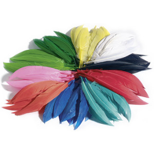 folia gekleurde veren, gemengde kleuren, 10 g, 100-200 mm