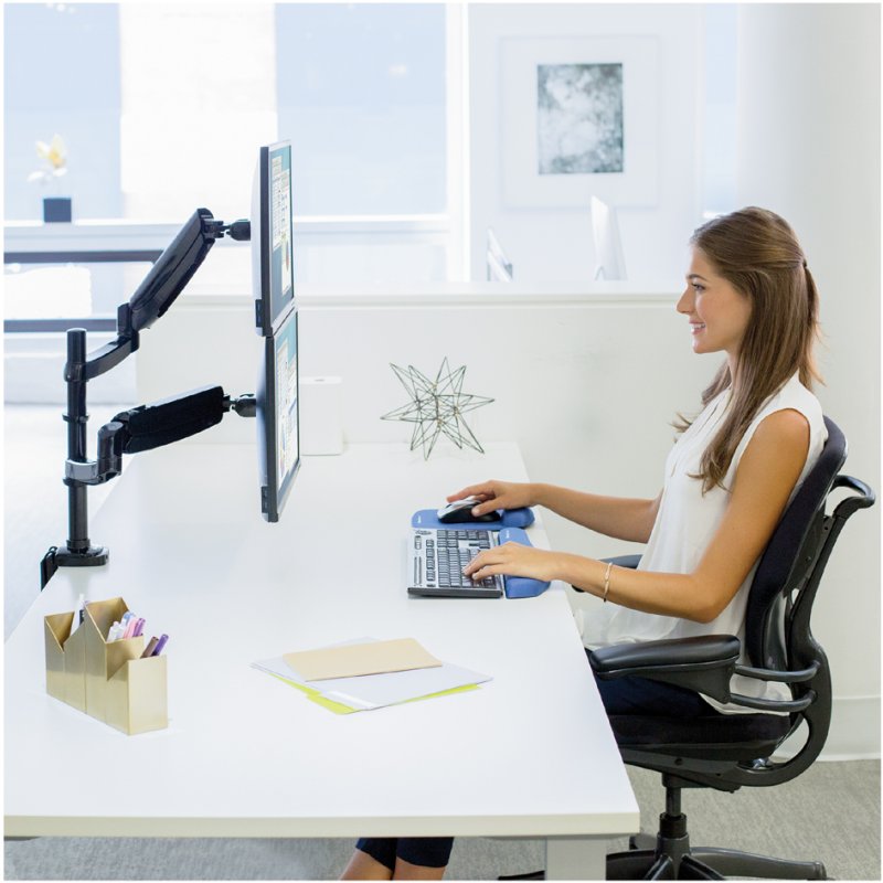 Fellowes Platinum Series bras double écran, vertical, noir, jusqu'à 27 pouces