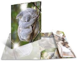 HERMA klemplaat Koala, A4, glanzend, 3 binnenkleppen