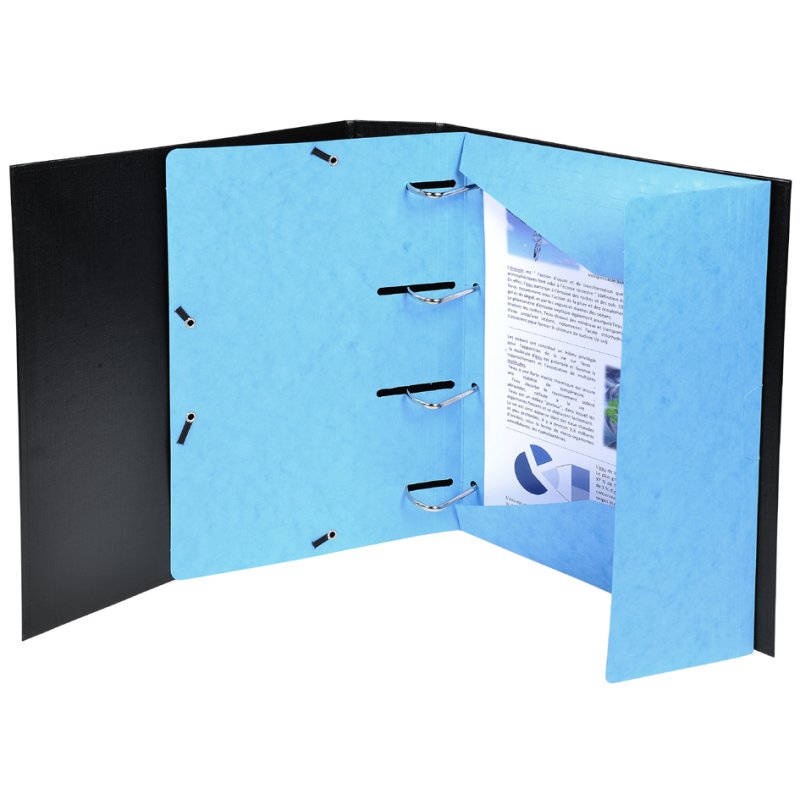 EXACOMPTA chemise de rangement Punchy+, carton 375 g/m², couleurs assorties, 25 pièces
