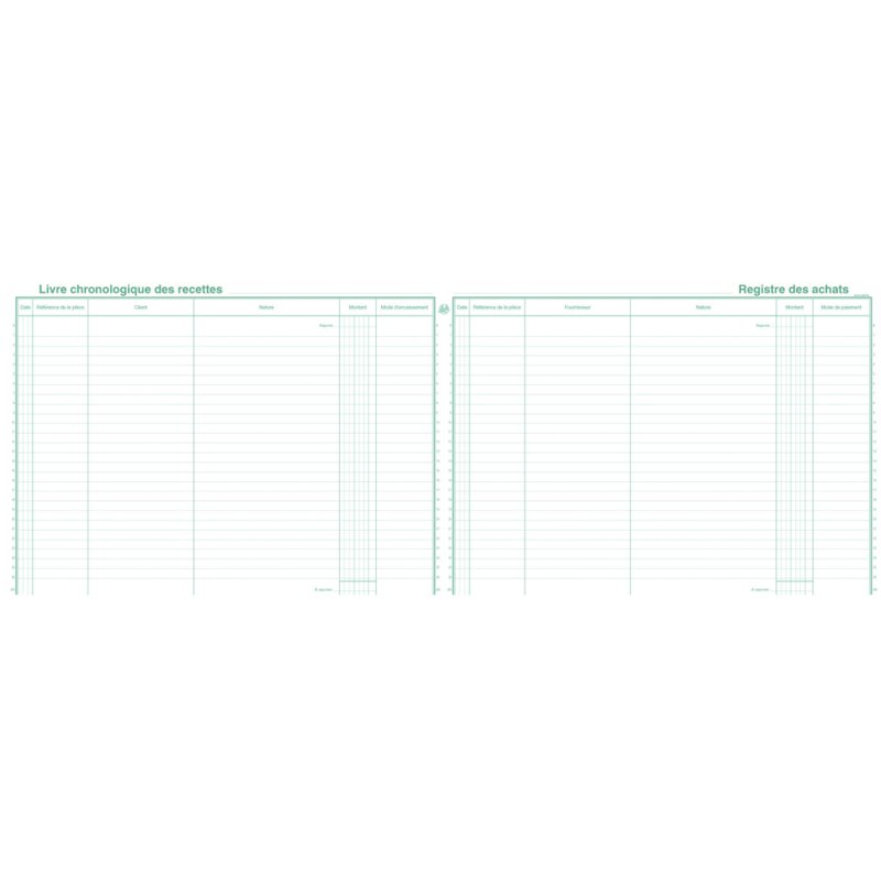 EXACOMPTA registre de caisse micro-entrepreneurs, 240 × 320 mm, 80 pages